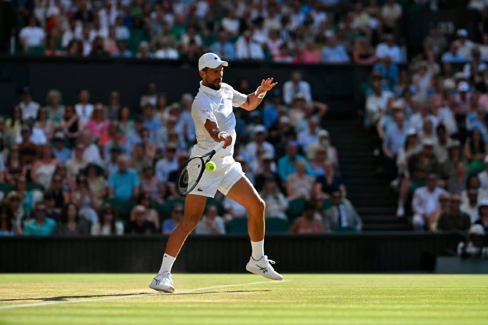 九游-德约科维奇新星刷新纪录表现突出,公牛前途光明!气势如虹延续的简单介绍-九游